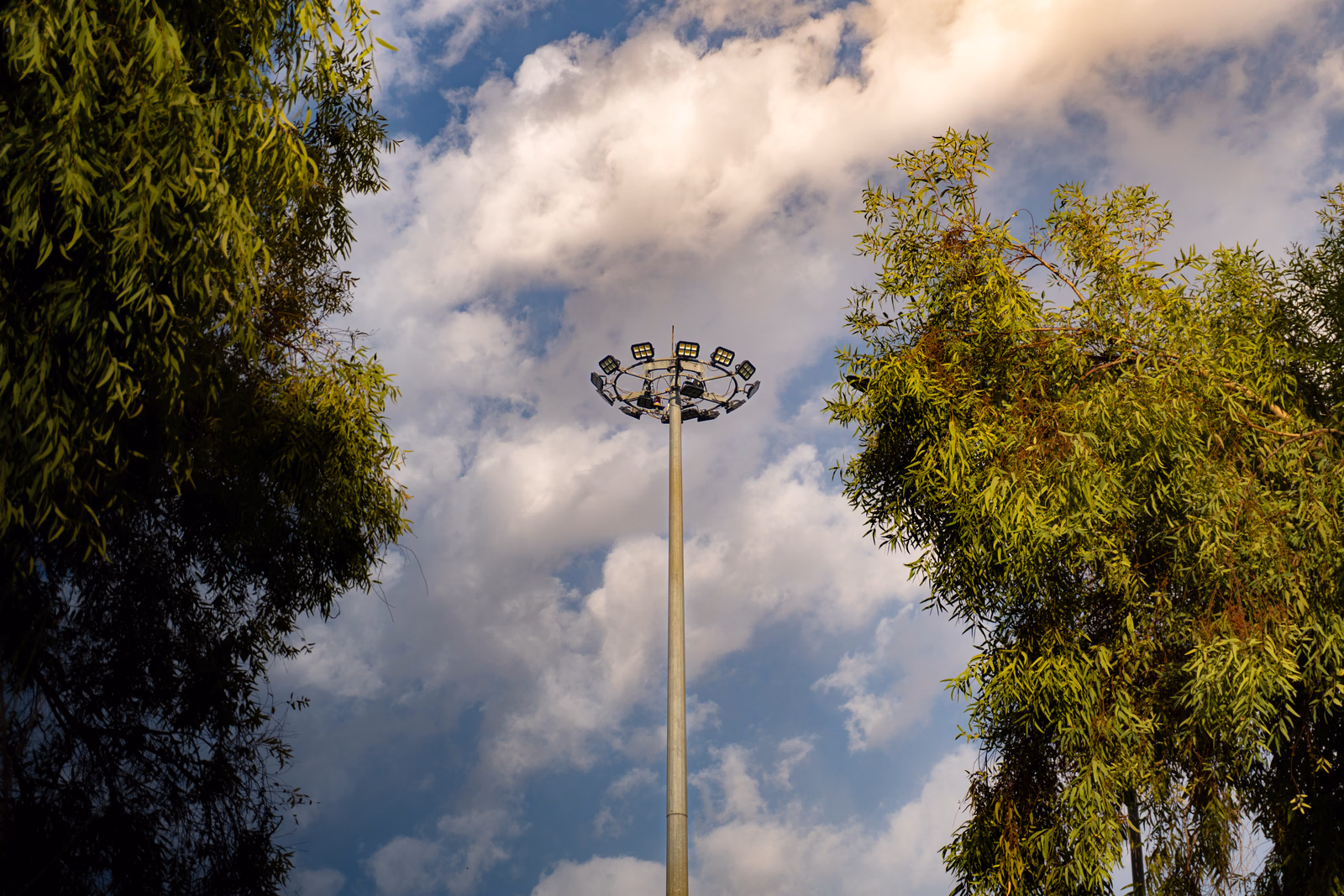 Light Pole at Sami Abdulrahman Park